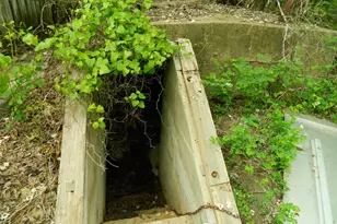 402 W Fannin St, Leonard, TX 75452 - Photo 5