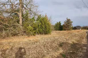 Lot 10 Cr 2341, Sulphur Springs, TX 75482 - Photo 1