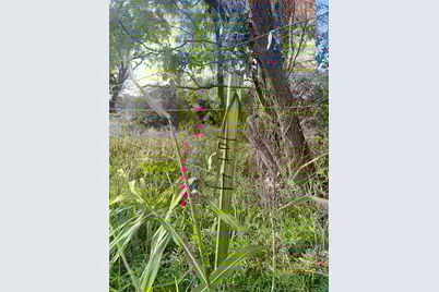 Lot4 Rock Creek Road, Possum Kingdom Lake, TX 76449 - Photo 3