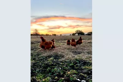 474 Private Road 305, Gatesville, TX 76528 - Photo 31