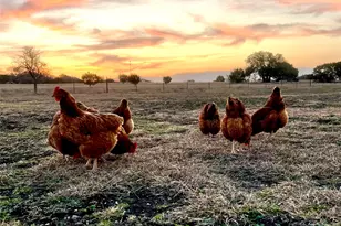 474 Private Rd 305, Gatesville, TX 76528 - Photo 31