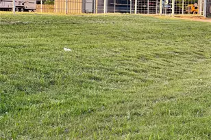 17849 N State Hwy 16, Possum Kingdom Lake, TX 76449 - Photo 23