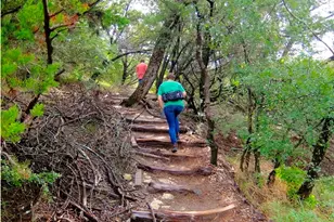 7426 Cloverglen Dr, Dallas, TX 75249 - Photo 27