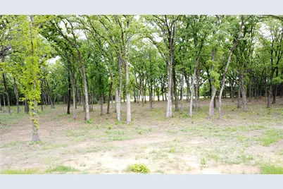 1210 Buck Trail, Pottsboro, TX 75076 - Photo 5