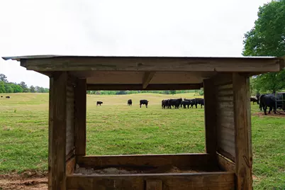 0 Cr 1615, Jacksonville, TX 75766 - Photo 7