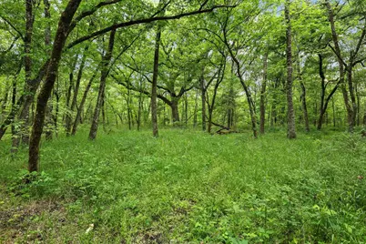 2628 County Road 2510, Quinlan, TX 75474 - Photo 29