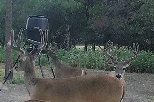 2628 Co Rd 2510, Quinlan, TX 75474 - Photo 39