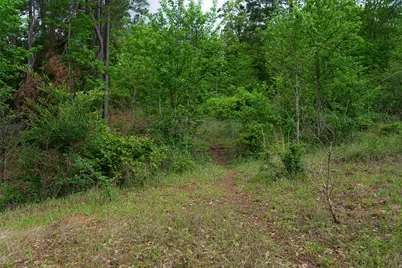 00 Tract 1 Cr 1615, Jacksonville, TX 75766 - Photo 27