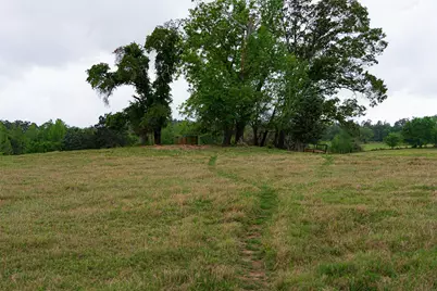 00 Tract 1 Cr 1615, Jacksonville, TX 75766 - Photo 35