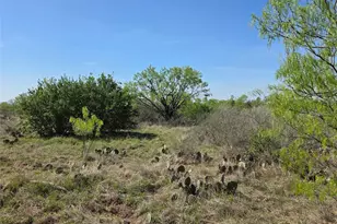 3925 County Rd 216, San Saba, TX 76877 - Photo 3