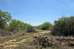 3925 County Rd 216, San Saba, TX 76877 - Photo 23