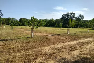 3925 County Rd 216, San Saba, TX 76877 - Photo 35