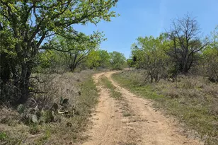 3925 County Rd 216, San Saba, TX 76877 - Photo 5