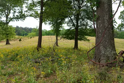 00 Tract 2 Cr 1615, Jacksonville, TX 75766 - Photo 15