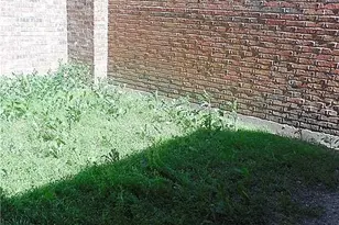 519 Rebecca Dr, Cedar Hill, TX 75104 - Photo 25