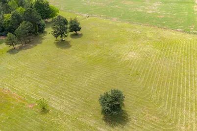 2029 W State Highway 294, Elkhart, TX 75839 - Photo 33