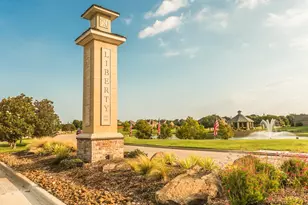 3102 Bunting Dr, Melissa, TX 75454 - Photo 39