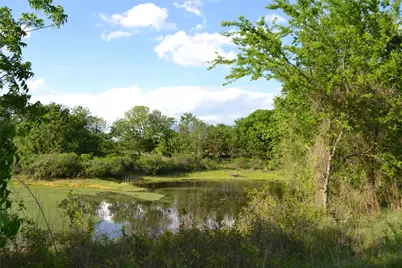 Tbd County Road 1300, Yantis, TX 75497 - Photo 15