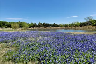 6824 175 Hwy, Terrell, TX 75142 - Photo 17