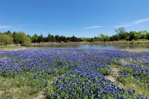 6824 175 Hwy, Kaufman, TX 75142 - Photo 1
