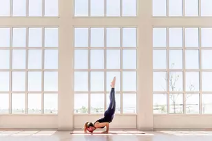 2557 Domingo Dr, Aledo, TX 76008 - Photo 11