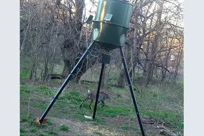 10020 Lavinder Lane, Crowley, TX 76036 - Photo 27