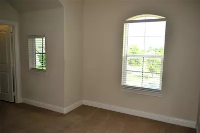302 Daylily Drive, Wylie, TX 75098 - Photo 27