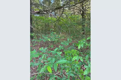 2900 Mc Burnett Dr, Honey Grove, TX 75446 - Photo 7