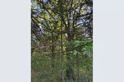 2900 Mc Burnett Dr, Honey Grove, TX 75446 - Photo 1