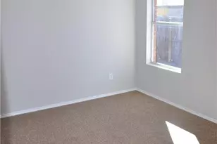 311 Olivia Ln, Anna, TX 75409 - Photo 11