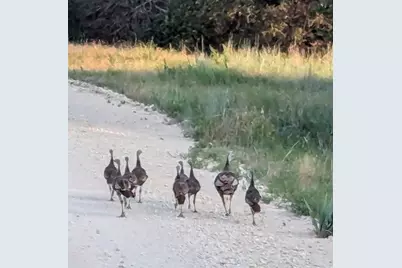 235 Private Road 2124, Meridian, TX 76665 - Photo 37