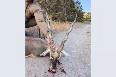 235 Private Road 2124, Meridian, TX 76665 - Photo 31