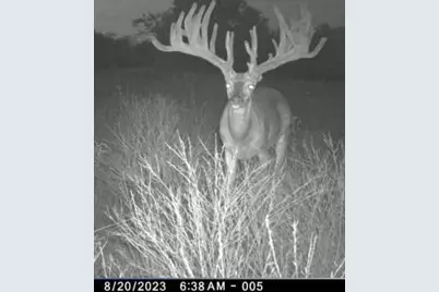 235 Private Road 2124, Meridian, TX 76665 - Photo 33