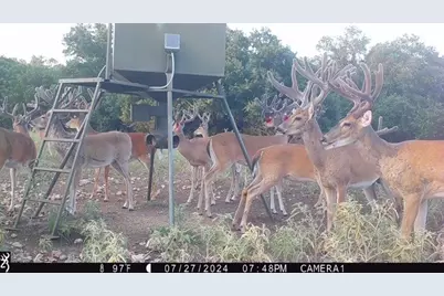 235 Private Road 2124, Meridian, TX 76665 - Photo 35