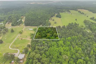 7398 County Rd 334, Tyler, TX 75708 - Photo 11