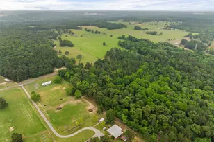 7398 County Rd 334, Tyler, TX 75708 - Photo 13