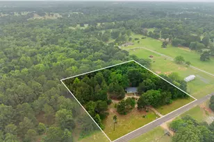7398 County Rd 334, Tyler, TX 75708 - Photo 9