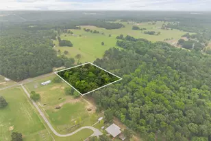 7398 County Rd 334, Tyler, TX 75708 - Photo 13