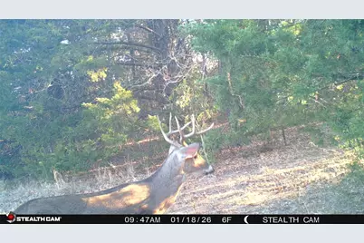 1203 County Road 4132, Cumby, TX 75433 - Photo 33