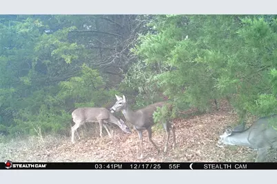 1203 County Road 4132, Cumby, TX 75433 - Photo 31