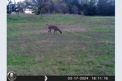 1203 County Road 4132, Cumby, TX 75433 - Photo 29
