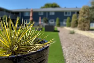 4950 Live Oak St, Dallas, TX 75206 - Photo 3