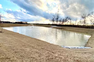 615 Metallic Tree Ln, Van Alstyne, TX 75495 - Photo 3