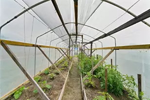 1414 Rs County Rd 1605, Point, TX 75472 - Photo 35