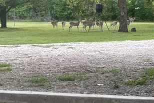 257 Hcr 2201, Aquilla, TX 76622 - Photo 3