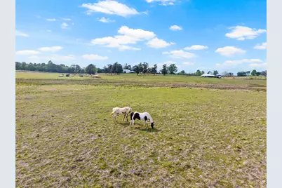 Tbd County Road 4287, Winnsboro, TX 75494 - Photo 11