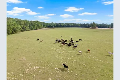 Tbd County Road 4287, Winnsboro, TX 75494 - Photo 13