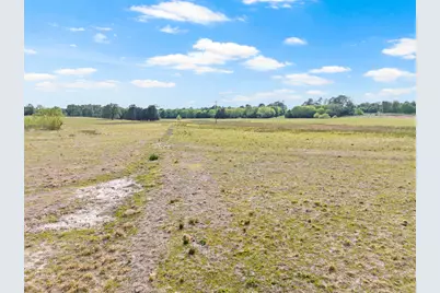 Tbd County Road 4287, Winnsboro, TX 75494 - Photo 9