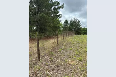 14070 Cr-3520, Brownsboro, TX 75756 - Photo 31