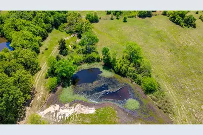 Tbd County Road 1165, Brashear, TX 75420 - Photo 19